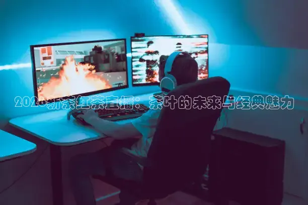 蚂蚁体育在线